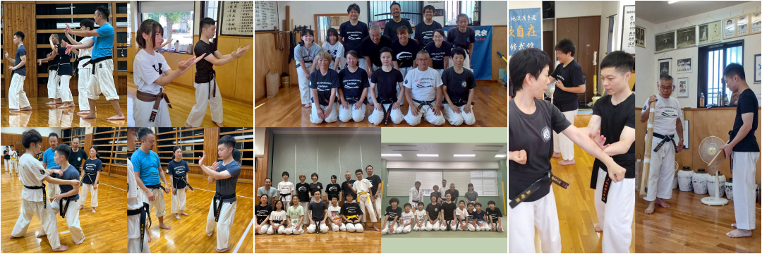 Uechi Ryu Karate-Do Shubukai
