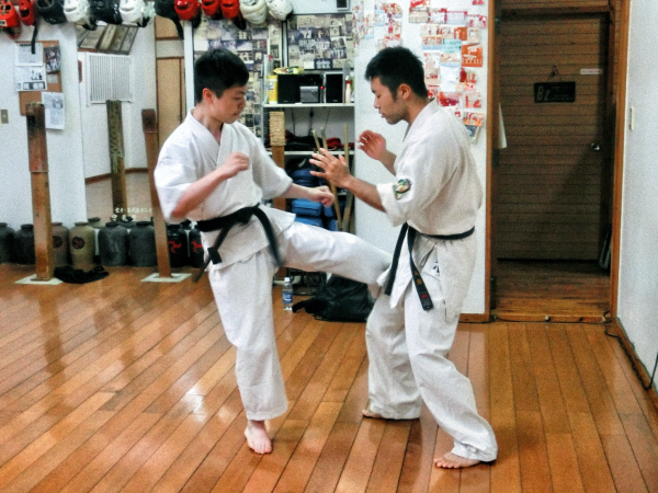 Okinawa Uechi Ryu Karate Iron Body Legs conditioning Kashi-kitae